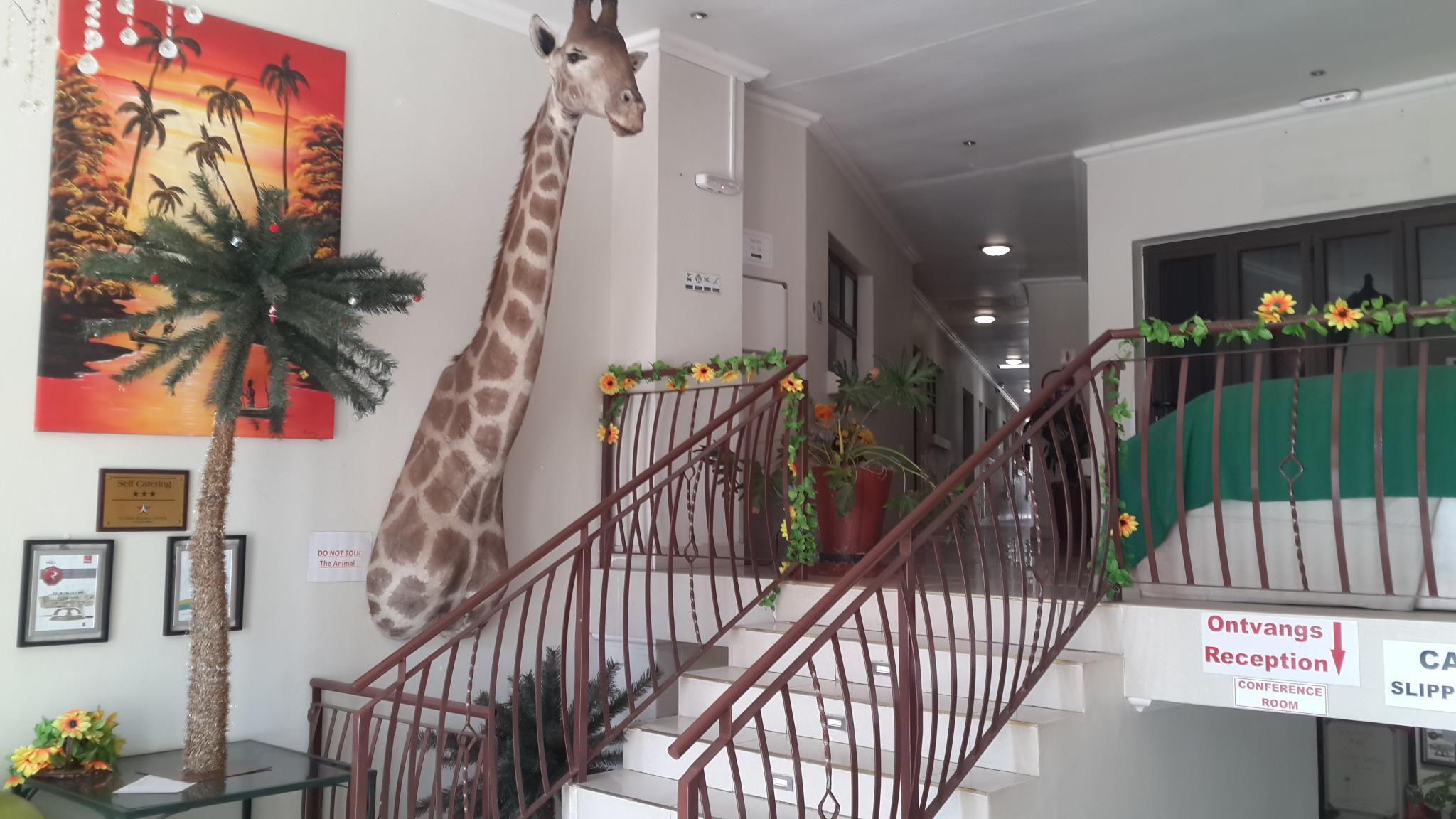 Palm Valley Inn And Day Spa Хартбееспоорт Екстериор снимка